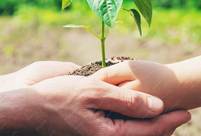 child-with-his-father-plant-nursery-garden_73944-16799