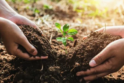 hand-mater-and-child-helping-planting-small-tree-i