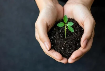 transformation-growth-mindset-concept-a-pair-of-ha
